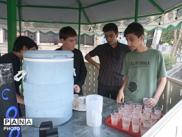 ایستگاه صلواتی دهه اول ماه صفر در مقابل فاطمیه تهران به همت نوجوانان آرمانی برپا شد