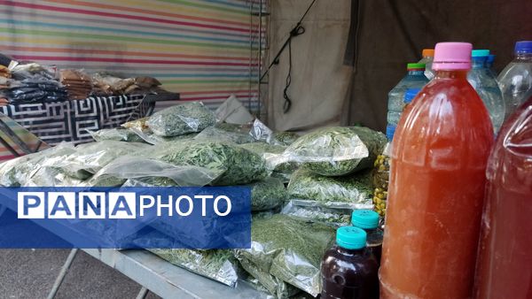 جشنواره مغ مهرگان جشن خرما و فرهنگ در حاجی‌آباد