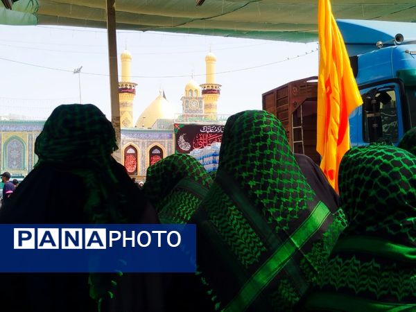 میلیون‌ها گام عاشقی؛ روایت حماسه اربعین حسینی از نجف تا کربلا