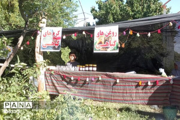 از گل محمدی تا داروهای گیاهی؛ جشنواره‌ای با عطر سلامتی در رباط‌کریم