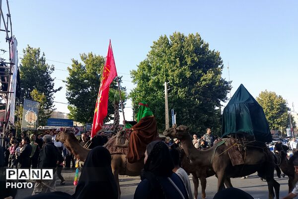 استقبال پرشور مردم شهرک امیریه از کاروان نمادین اسرای کربلا