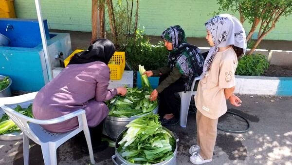 برگزاری جشنوارهٔ کاهو و سکنجبین در دبستان پسرانهٔ پاسداران یزد