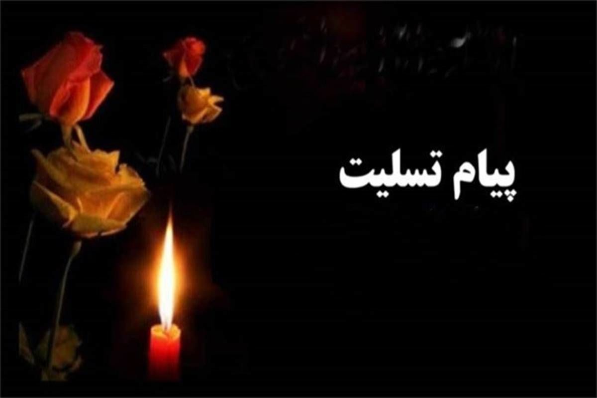 پیام تسلیت مدیر آموزش‌وپرورش در پی شهادت دانش‌آموز اندیمشکی