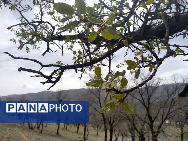 سیزده بدر، نقاشی رنگارنگ طبیعت را بر بوم تصاویر رقم زد