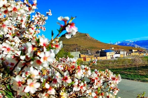 قلعه‌تک در اردیبهشت؛ جادوی باران و شکوفه