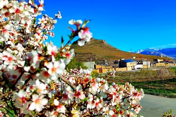 قلعه‌تک در اردیبهشت؛ جادوی باران و شکوفه
