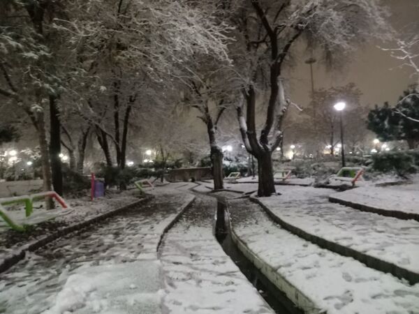 بارش برف در مشهد