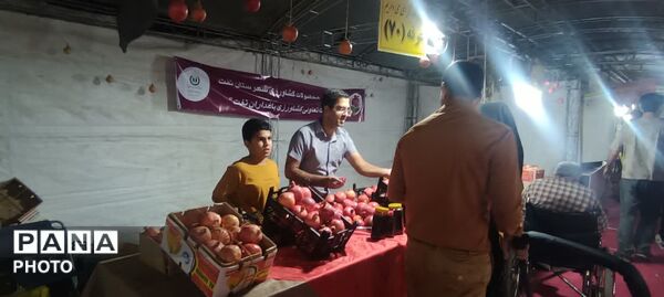 جشنواره انار تفت