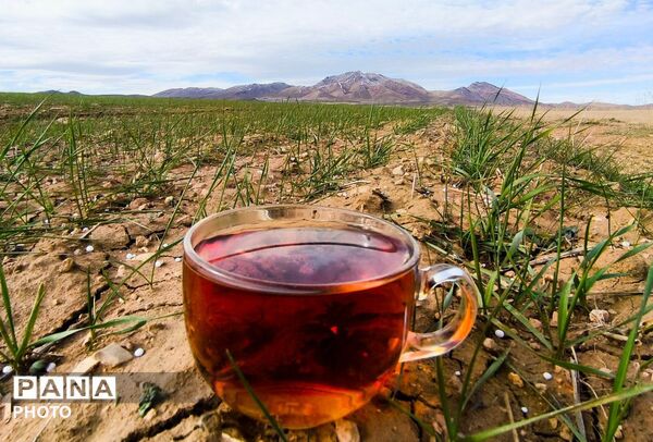 زمین سبز،زندگی سبز