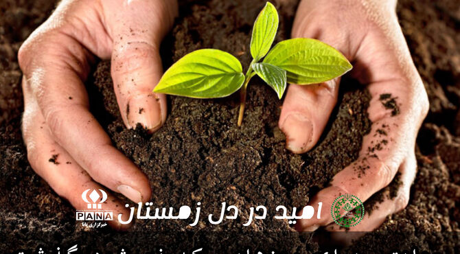 امید در دل زمستان ؛ روایتی برای روزهایی که نمیشود گذشت 