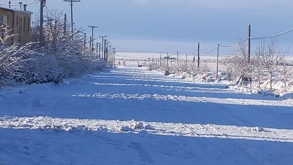 سفیدپوش شدن روستاهای یزد به روایت تصویر