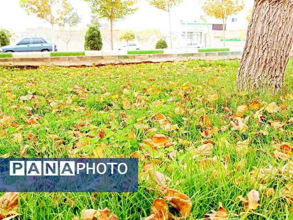 کاشمر در برگریزان پاییز