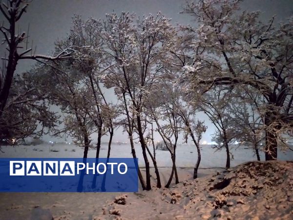 شبی برفی در نیشابور 