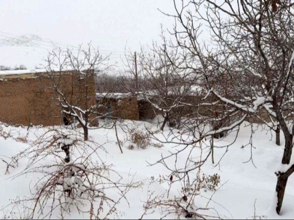 برف زمستانی، مهمان شهرستان کیار