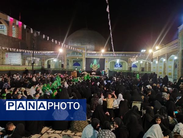 مجمع جهانی خادمان حضرت رقیه (س) در مشهد اردهال