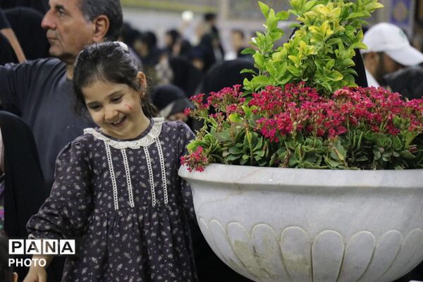شام ولادت علی ابن موسی‌الرضا، در حریم رضوی