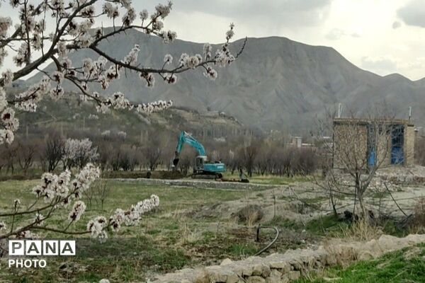 اولین شکوفه های بهاری در شهر بار نیشابور