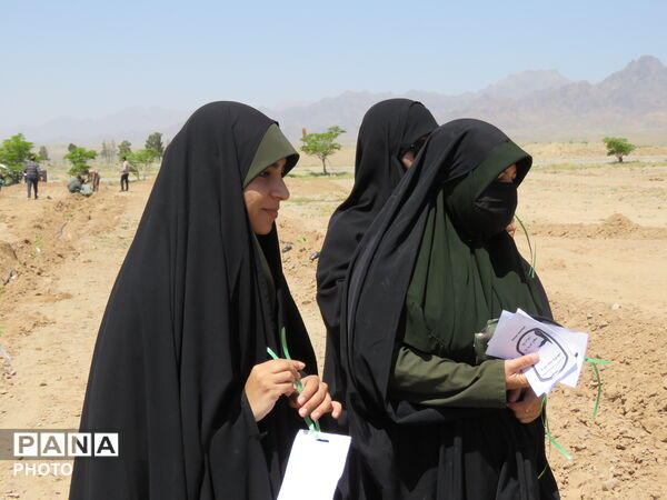 آیین "درخت سرو ایران" در شهرستان خلیل آباد 