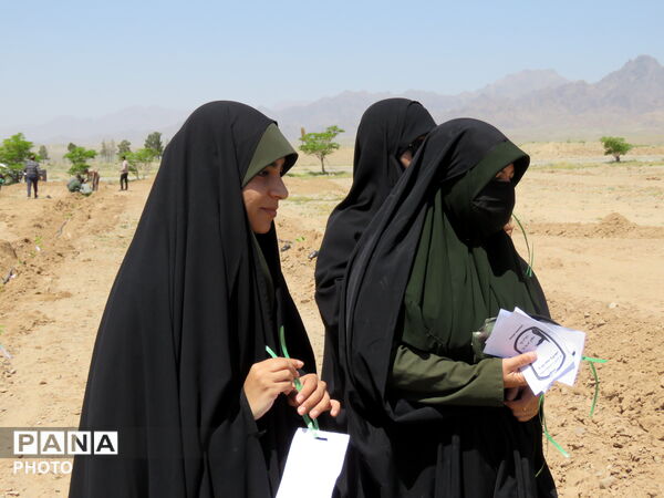 آیین "درخت سرو ایران" در شهرستان خلیل آباد 