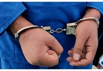 عامل شرارت و نزاع دسته جمعی در محله پیروزی تهران دستگیر شد