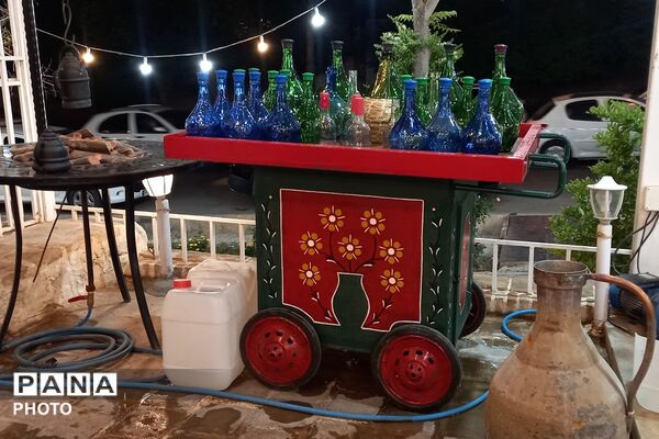 آغاز سمفونی گل و گلاب در مهد گل محمدی