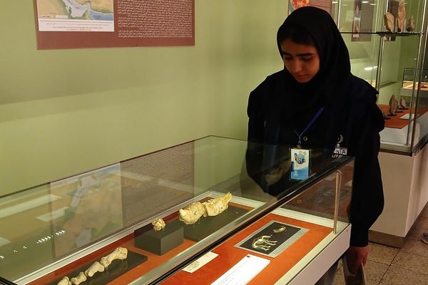 از دریچه روایت مدرسه به تاریخ ایران