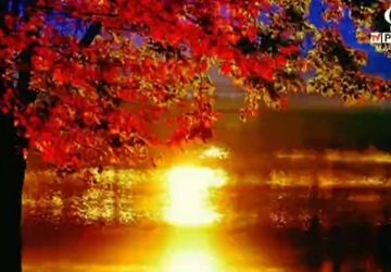 پاییز؛ فصل رقص برگ‌ها و هزار رنگ دلنشین