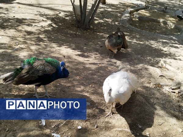 اردوی علمی تفریحی خبرنگاران پانای استان اصفهان