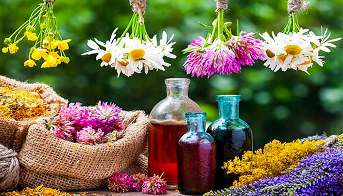 مسابقه دانش آموزی تولید محتوای «گیاهان دارویی» یزد به کار خود پایان داد