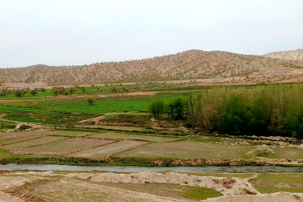 بهار، آغاز دوباره‌ی زندگی طبیعت 