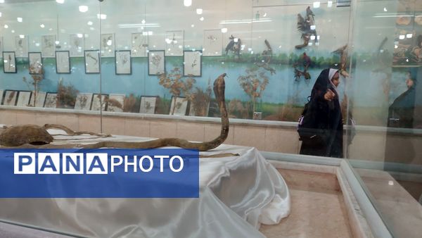 بازدید علمی دانش‌آموزان دبستان شاهد حاج تقی آقا‌بزرگ از پژوهش‌سرای علامه طباطبایی ناحیه یک مشهد