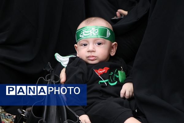 همایش شیرخوارگان حسینی در راور