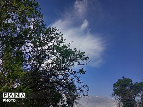 طبیعت چشم نواز روستای دهنو