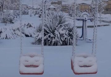  بارش برف در روزهای پایانی دی ماه ۱۴۰۳ در شهرستان شهرضا