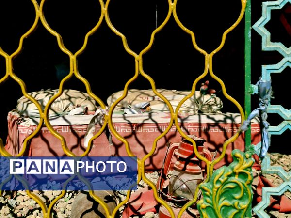 قدم بر خاک عشق