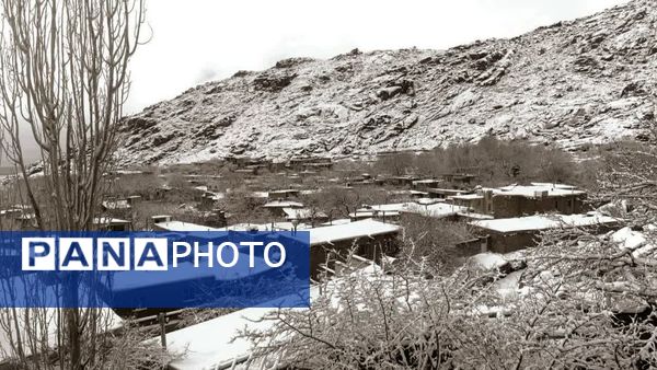 سفیدپوش شدن روستاهای یزد به روایت تصویر