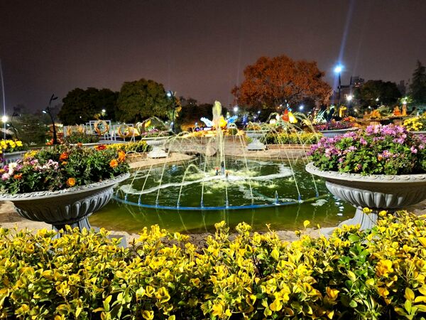 زیبایی باغ گل‌های مشهد در پاییز