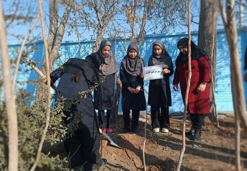 روز درختکاری در مدارس شهرستان ورامین