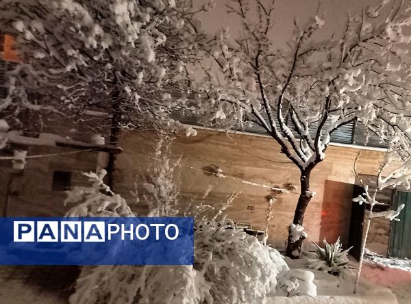 انعکاس دوباره ی رحمت اینبار بارنگ سپید