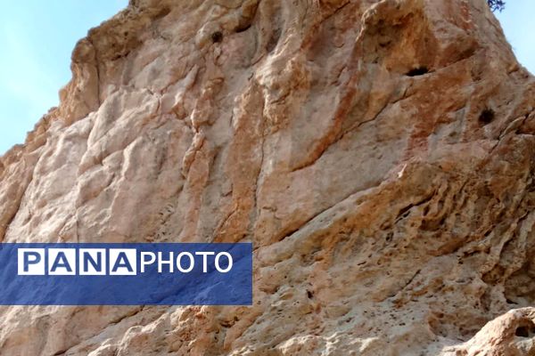 نقش برجسته تیمور از آثار باستانی در شهر کازرون 