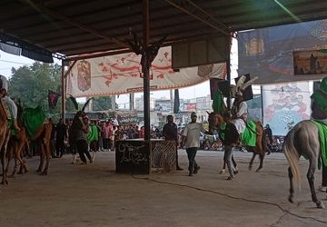 خداوند برای قلب‌های بی‌قرار حسین را آفرید