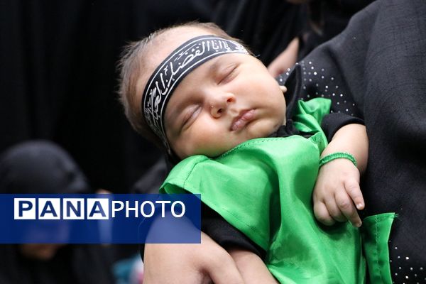 همایش شیرخوارگان حسینی در راور