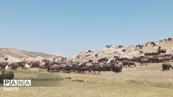 زندگی عشایری مردم شهر بار در کوه های بینالود