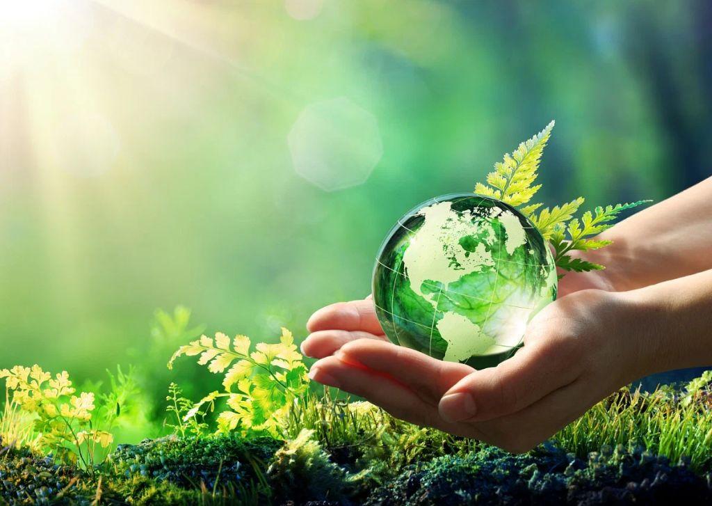 پژوهشگر برتر سازمان منابع طبیعی کشور معرفی شد