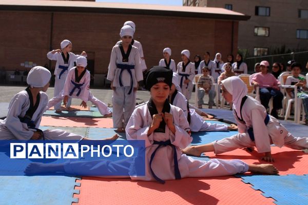 کلید خوردن طرح ملی «میدان پویا» در بهارستان‌دو