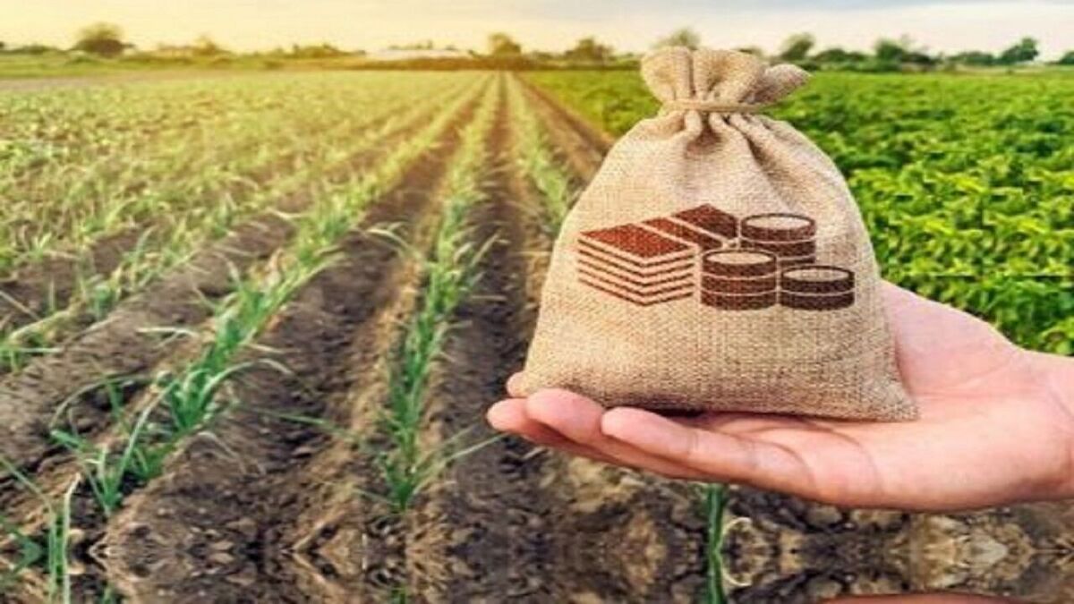 بدهی ۸ همتی صندوق بیمه کشاورزی تسویه شد