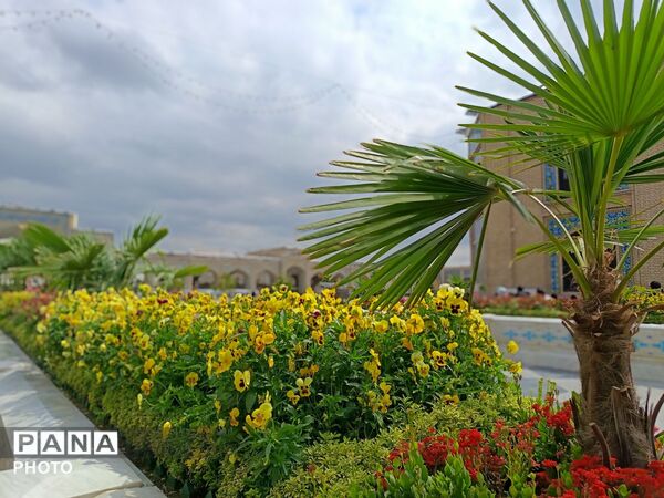 حرم ضامن آهو در آغازین روز دهه کرامت