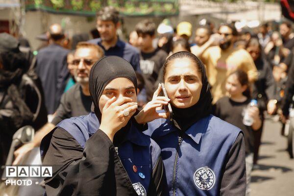 طنین «یا حسین» در مسیر دلدادگی؛ حضور پرشور جاماندگان اربعین در تهران