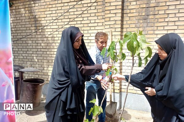 کاشت نهال به یاد یاسمن‌های میناب و شهیده دانش‌آموز نازنین زهرا سیفی 