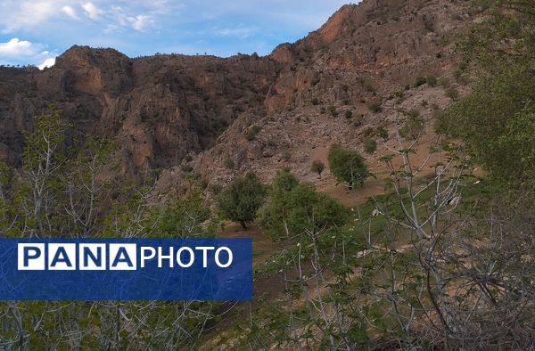 روستای شلیل نگین سرسبزی در دل کوه‌های میانکوه